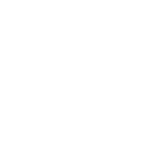 partner-white-dell